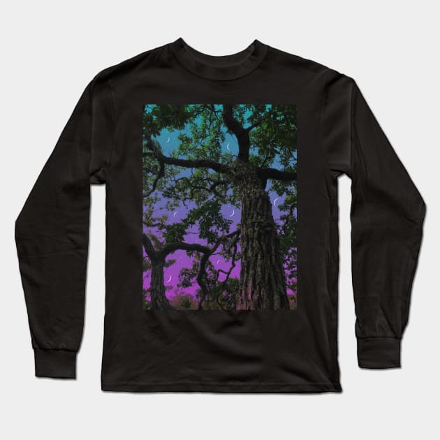 Moon Valley Long Sleeve T-Shirt by Cajuca